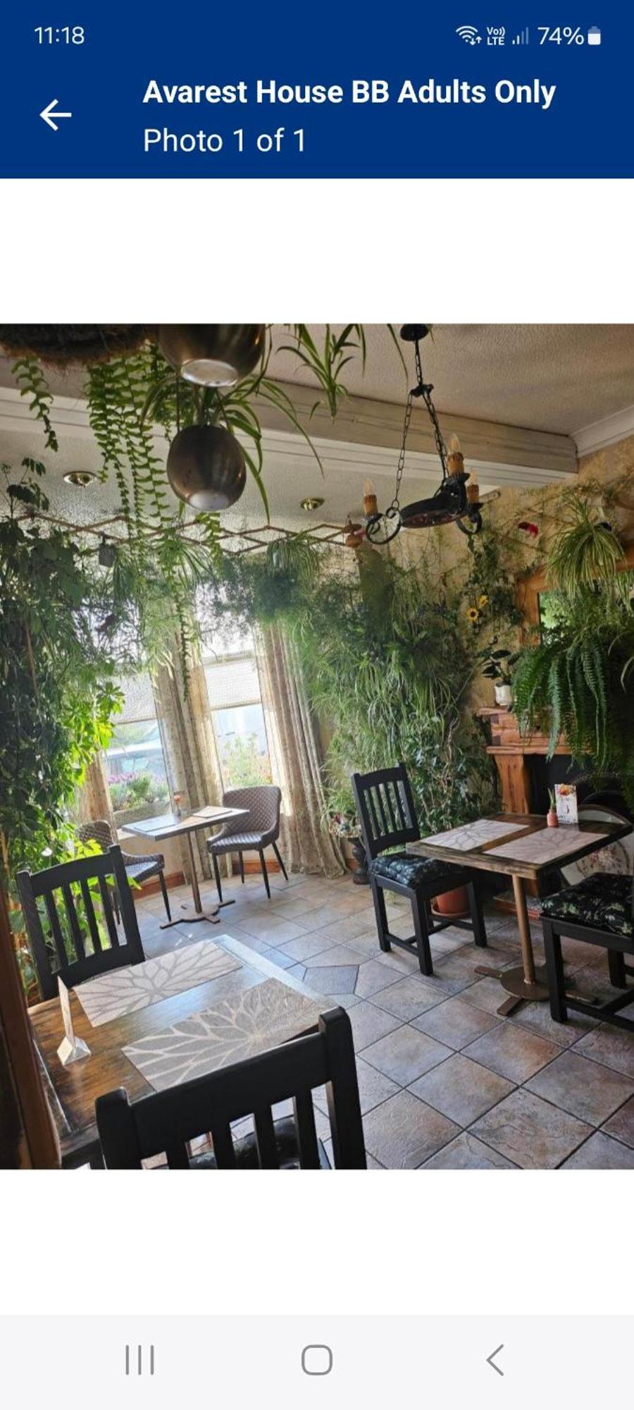 Avarest House Bb Adults Only Портраш Екстер'єр фото
